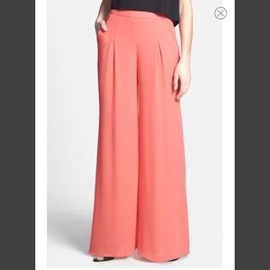 ASTR Sheer Wide Leg Pants (sold out)